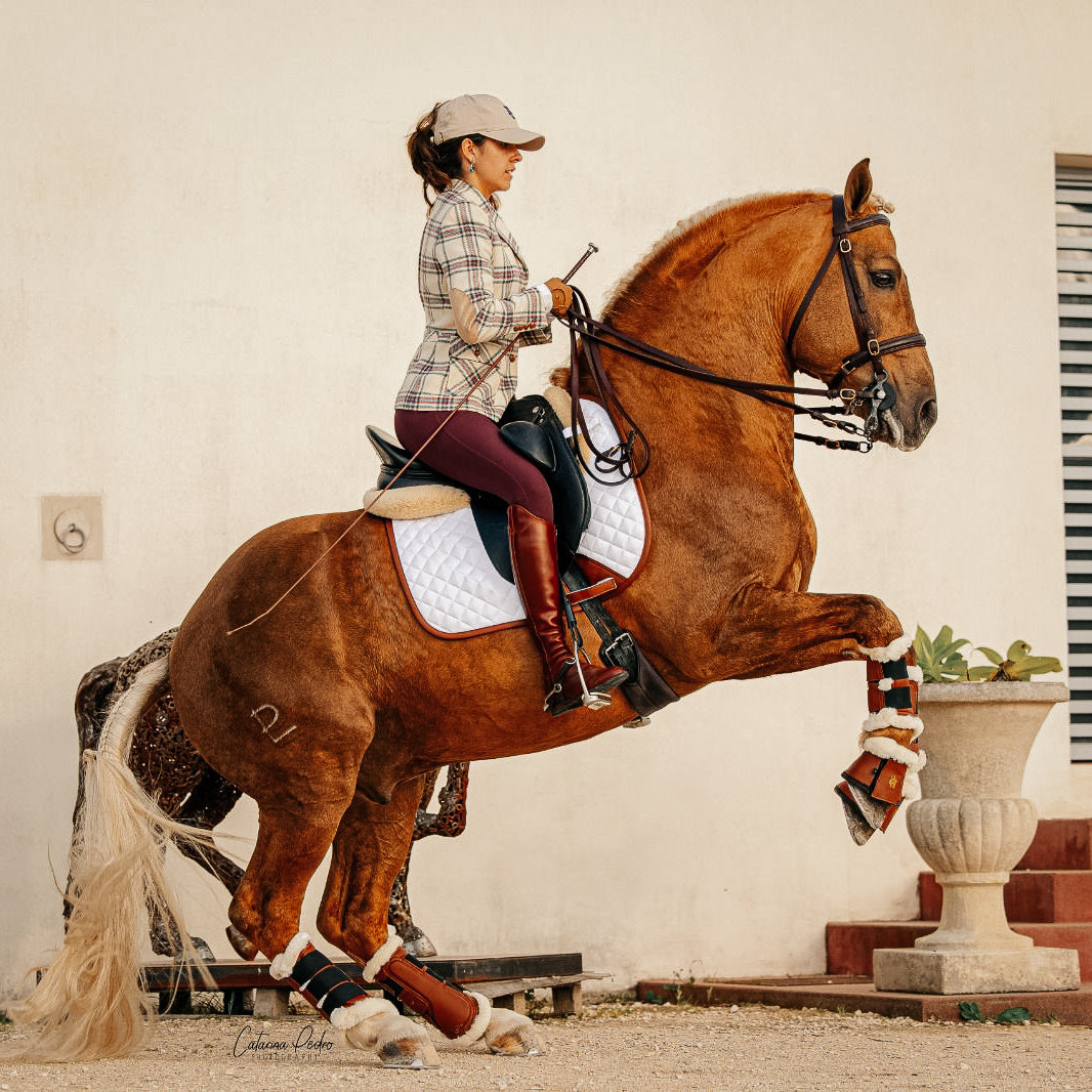 Sixteen Cypress Dressage Saddle Pad