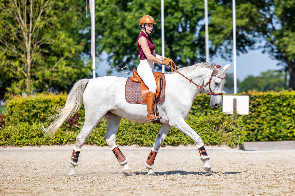 Sixteen Cypress Dressage Saddle Pad