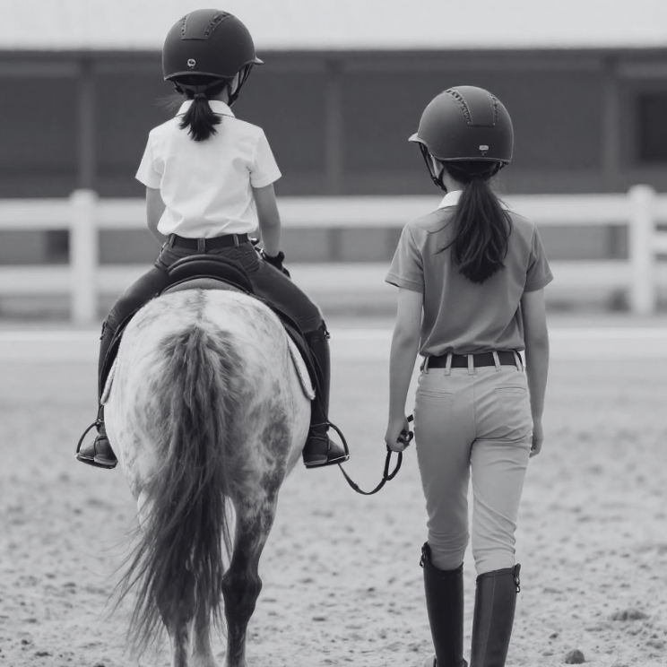 Young Rider Collection