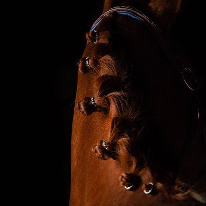 Spiced Equestrian Rhinestone Braid Bling