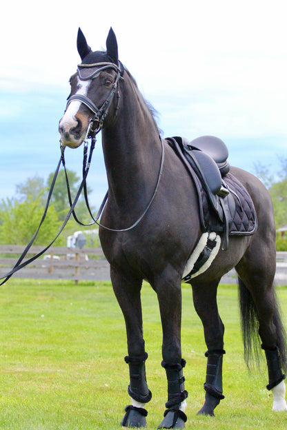 Cloches de protection pour chevaux Equine Collective