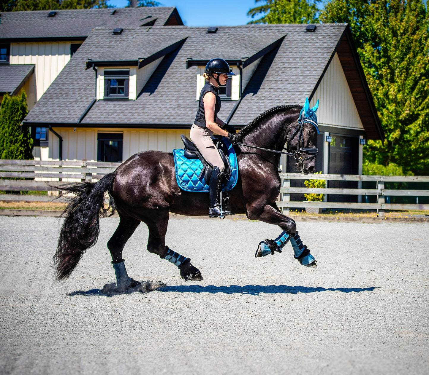 Tapis de selle de dressage Equine Collective - Saphir d'été