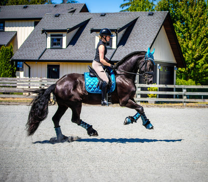 Tapis de selle de dressage Equine Collective - Saphir d'été