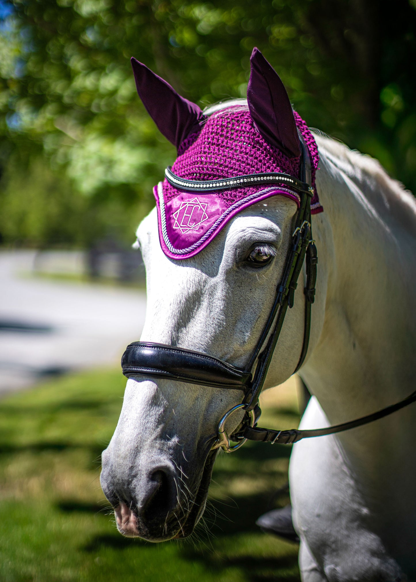 Bonnet anti-mouches Equine Collective - Écrasé de baies