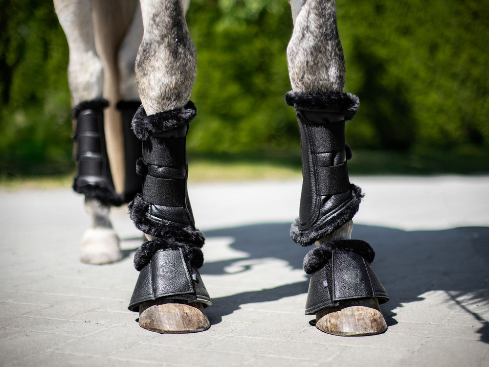 Cloches de protection pour chevaux Equine Collective