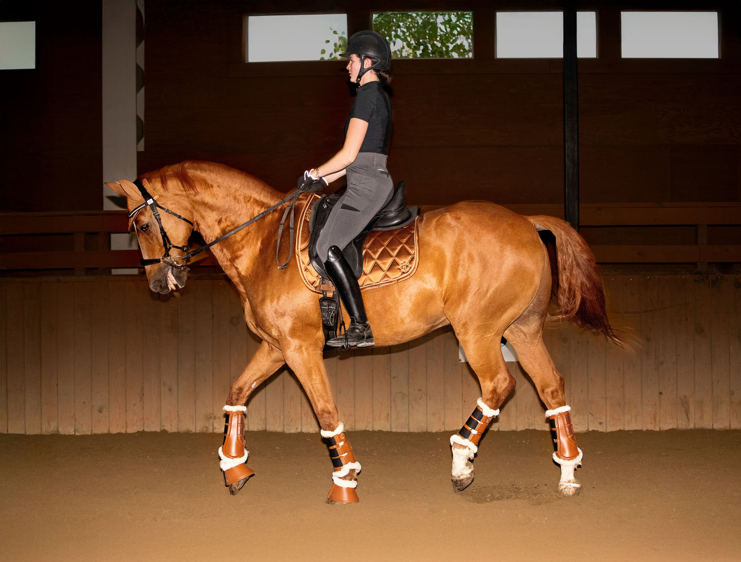 Equine Collective Dressage Saddle Pad