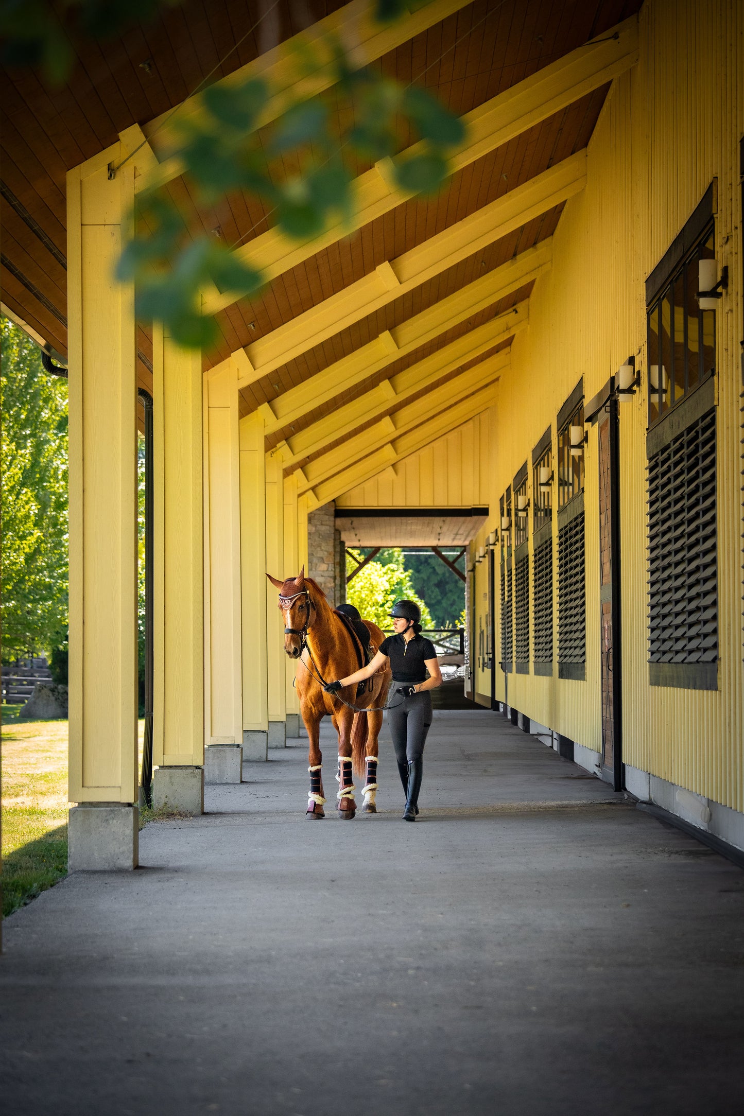 Cloches de protection pour chevaux Equine Collective