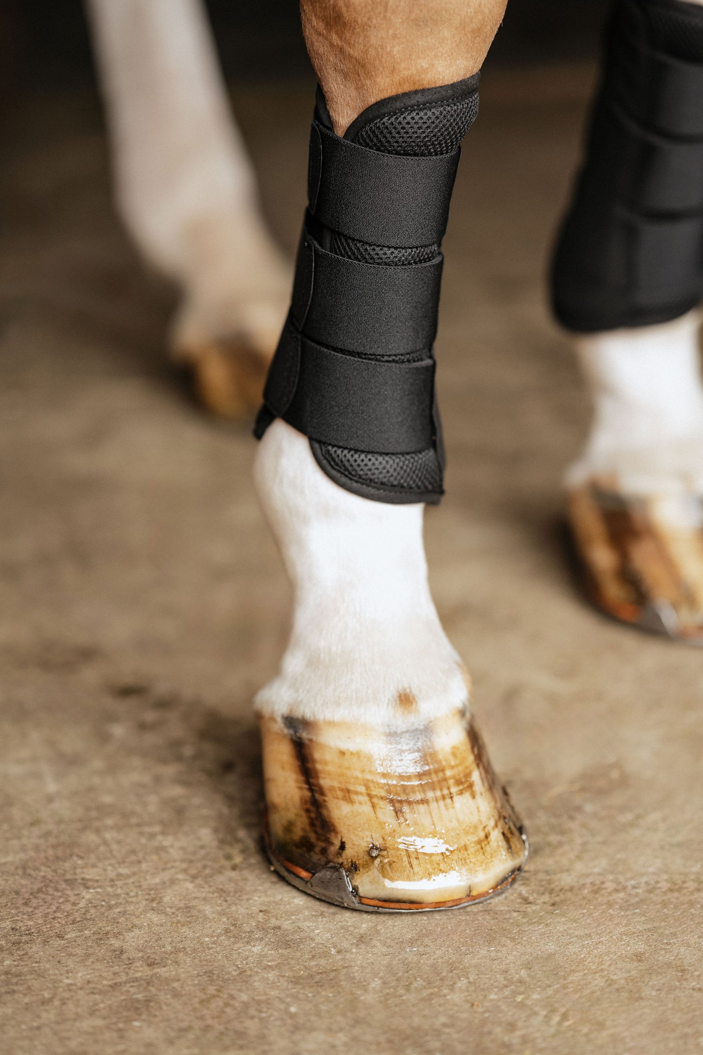 Anatomeq AirGuard Brush Boots