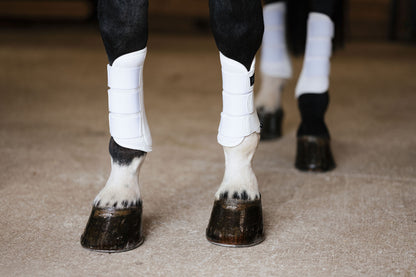 Anatomeq AirGuard Brush Boots