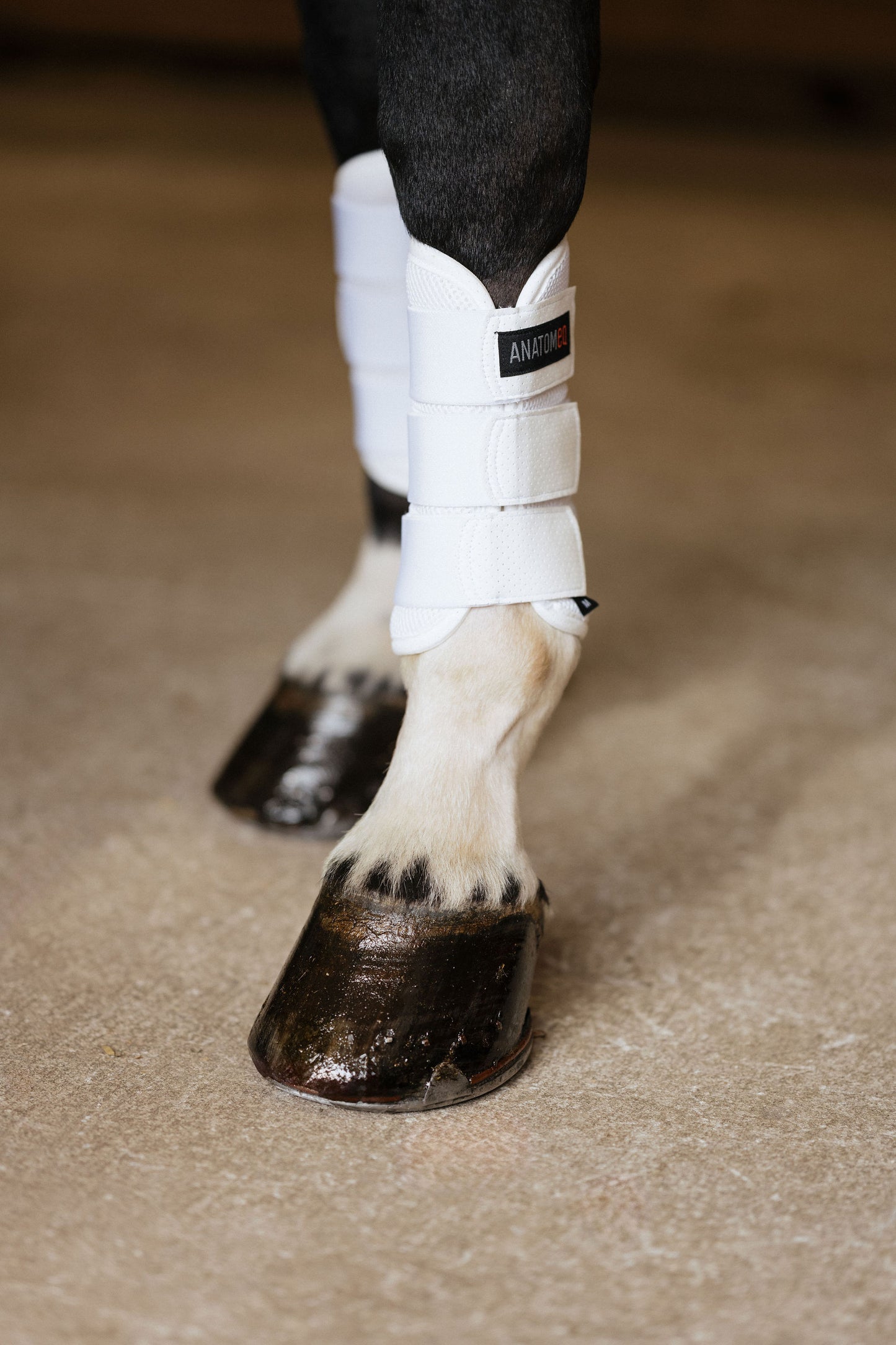 Anatomeq AirGuard Brush Boots