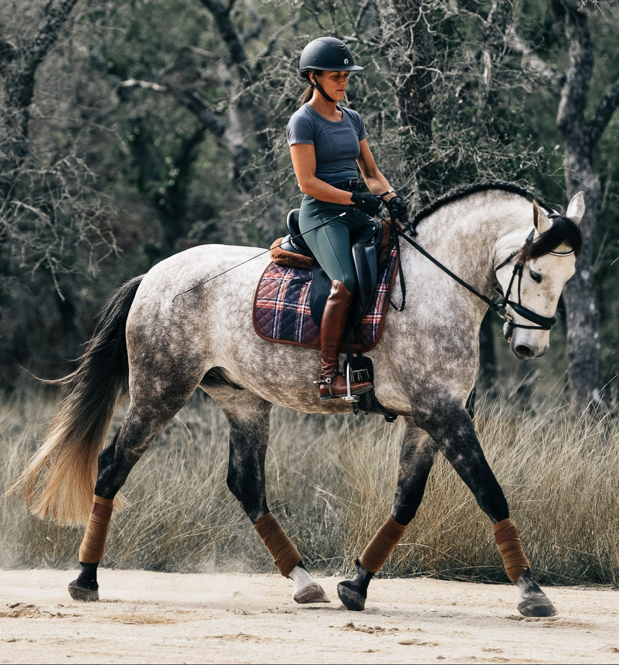 Sixteen Cypress Dressage Saddle Pad