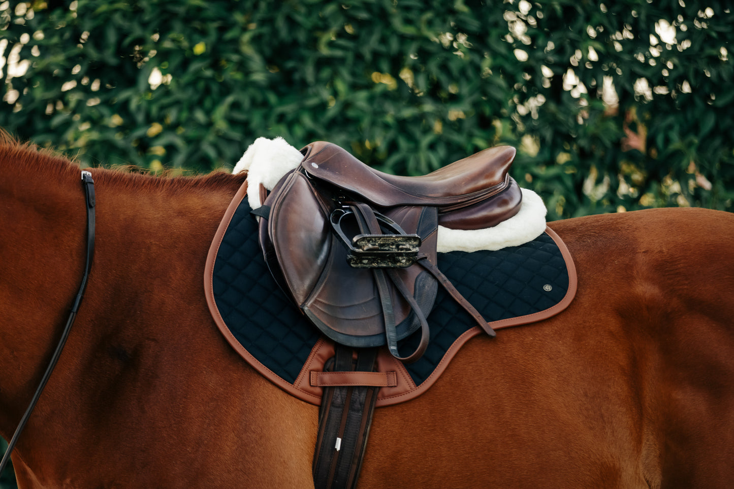 Sixteen Cypress Close Contact Saddle Pad