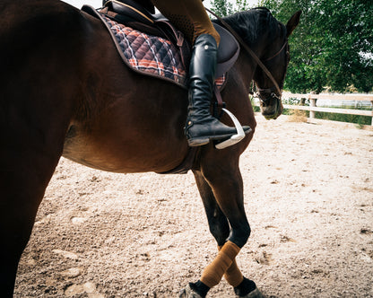 Sixteen Cypress Jumper Saddle Pad
